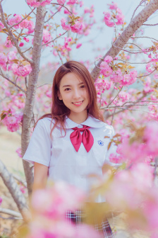 落花时节又逢君免费观看